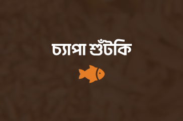 চ্যাপা শুঁটকি